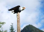 059_2008-0920-1507-34A.jpg